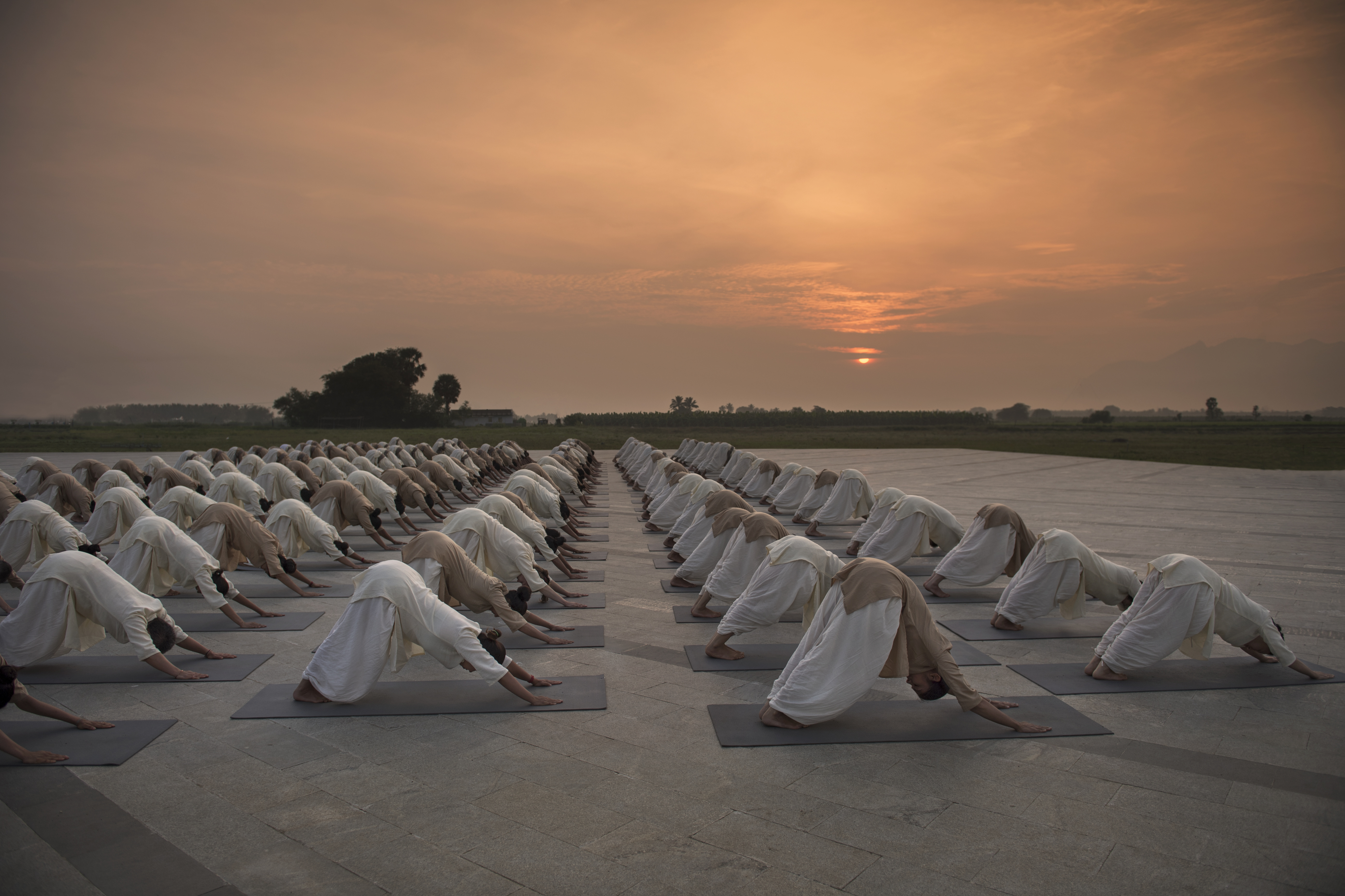 Isha Hatha Yoga pratiques